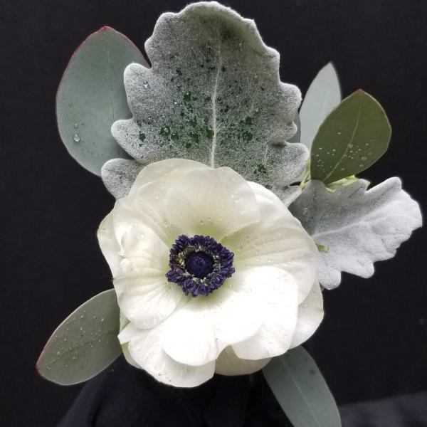 Delicate White Anemone framed with Dusty Miller and Seeded Eucalyptus